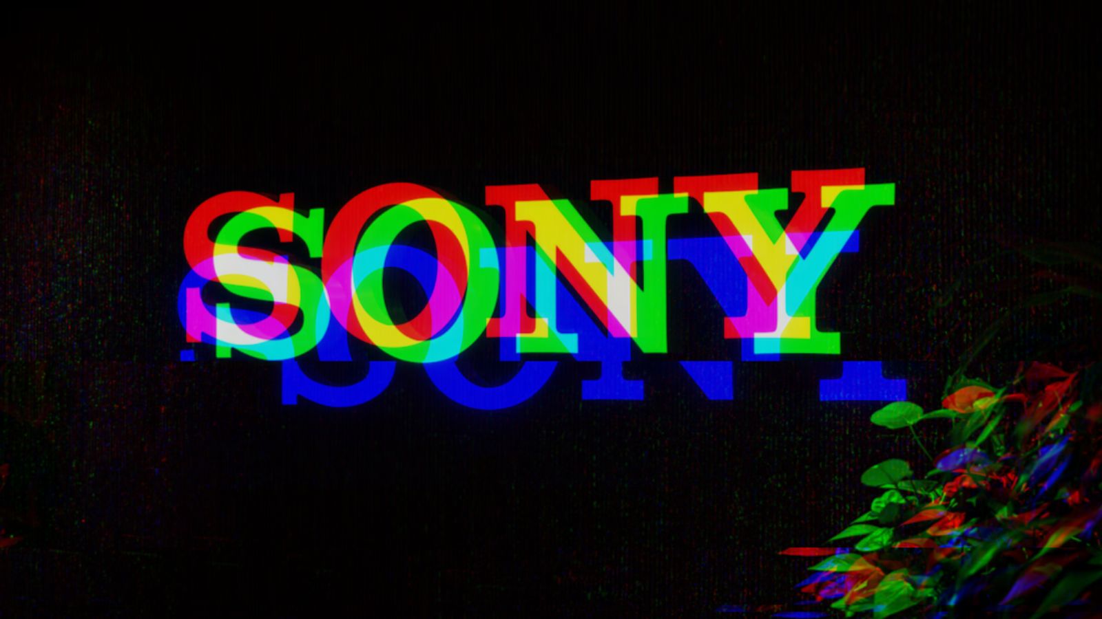 Sony