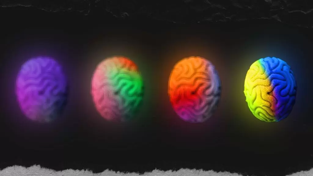 imagens do c&eacute;rebro em v&aacute;rios estados emocionais