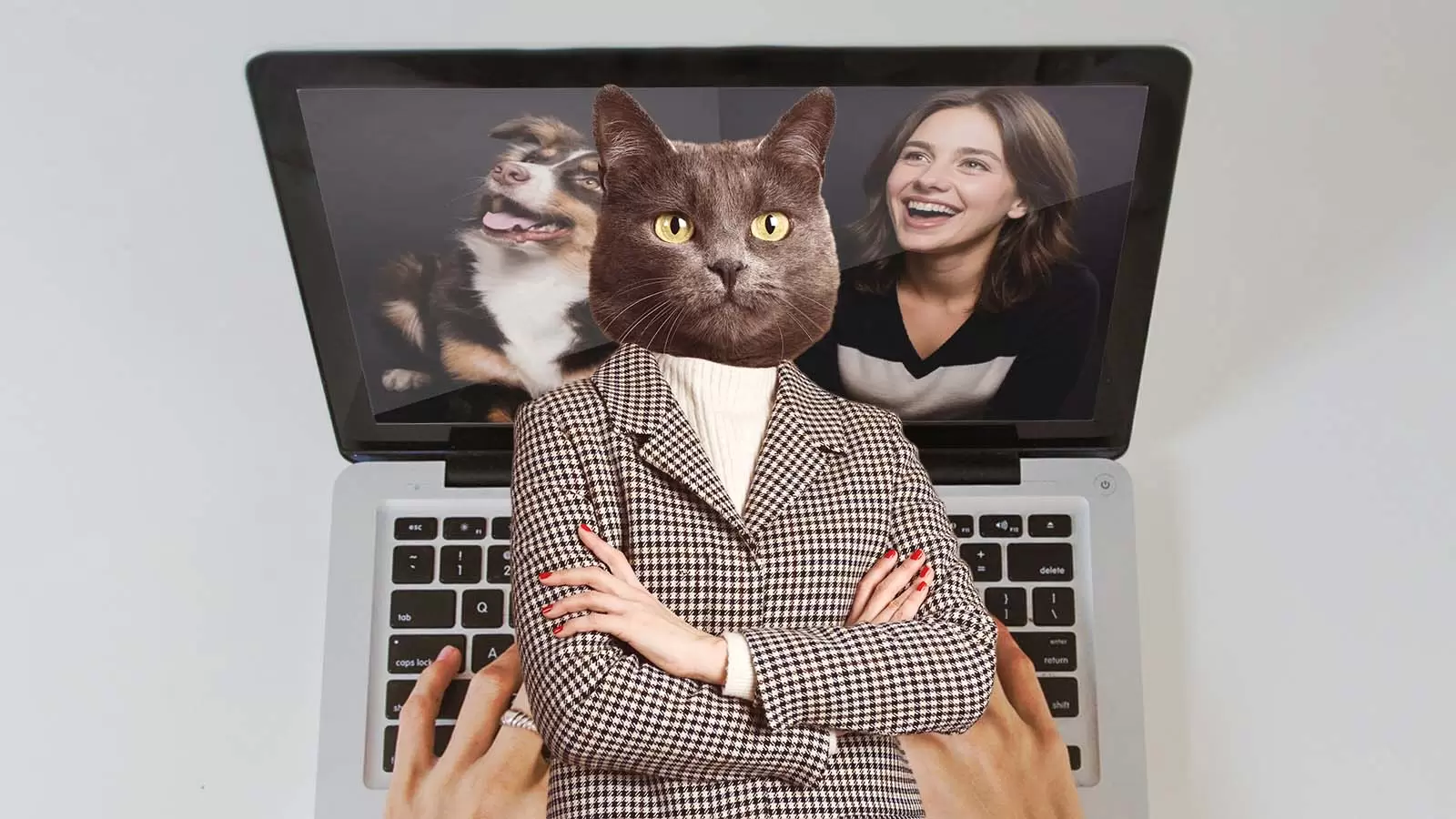 ser humano com cabeça de gato