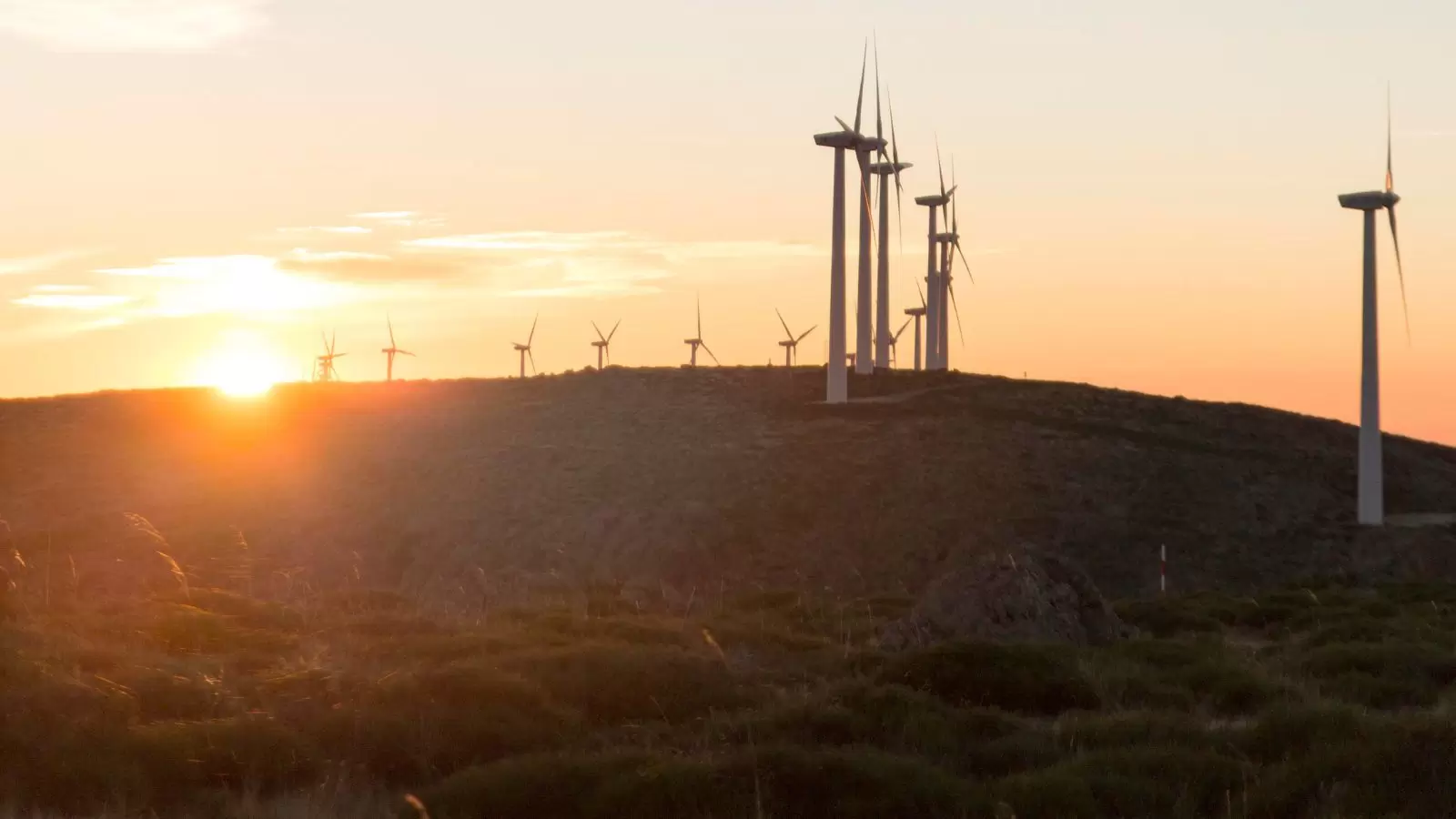 Campo de energia eólica