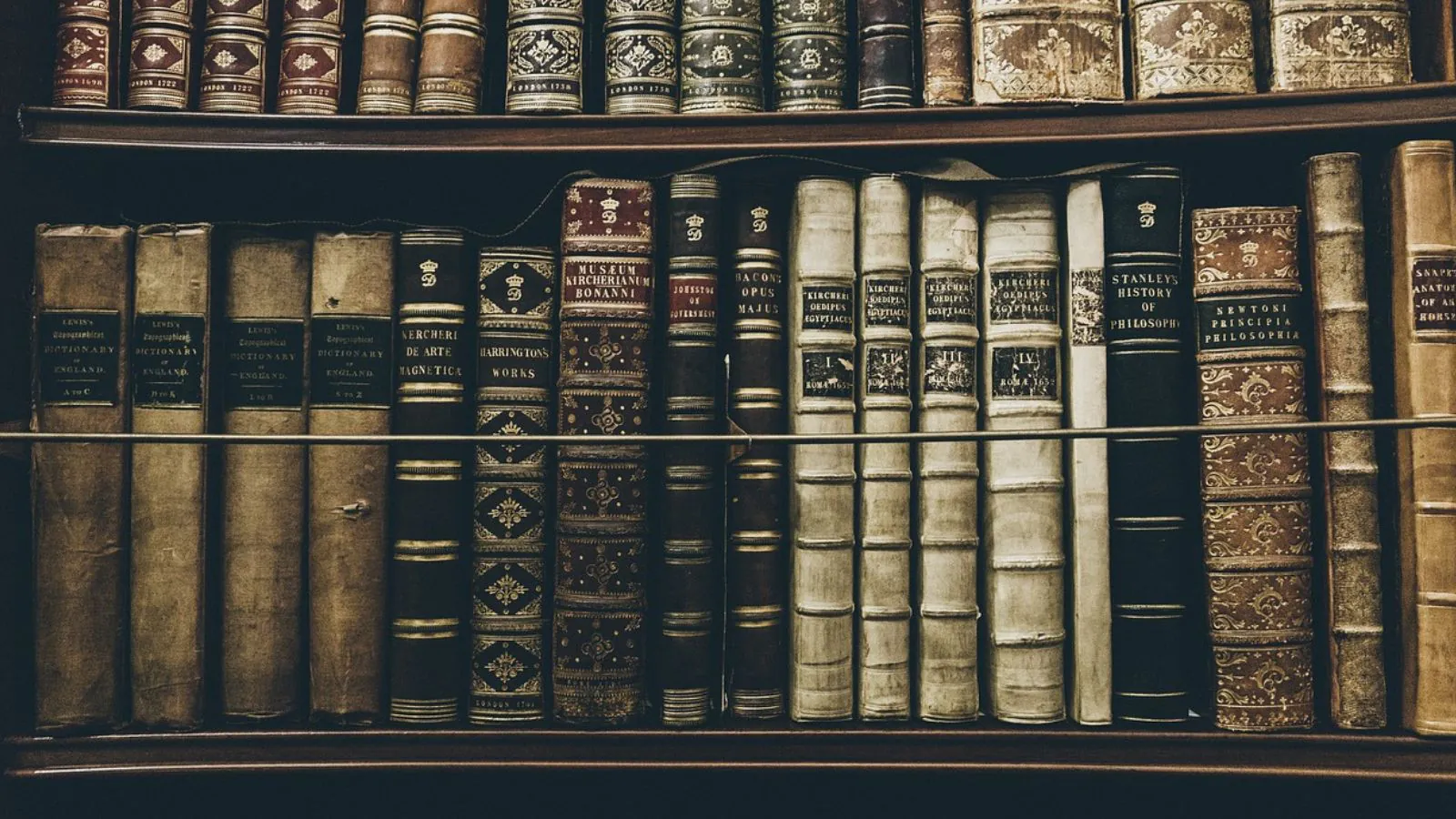 Livros capa dura em biblioteca