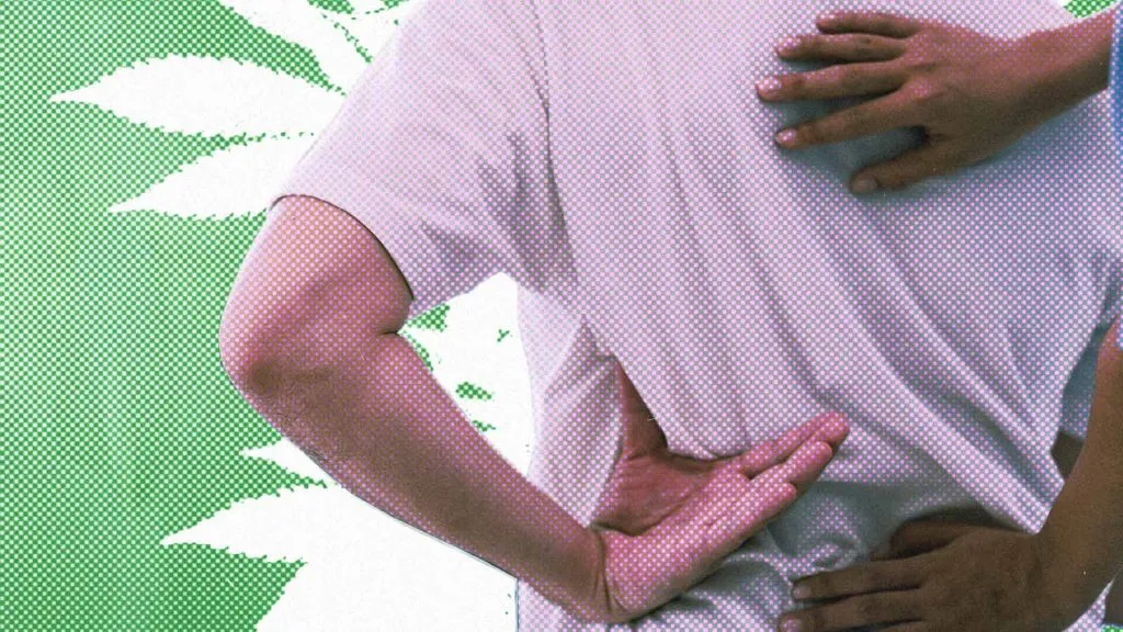 medicamento &agrave; base de cannabis para dor lombar cr&ocirc;nica