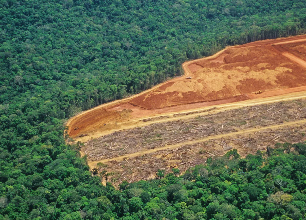 clareira na floresta amazônica aberta por extração de madeira