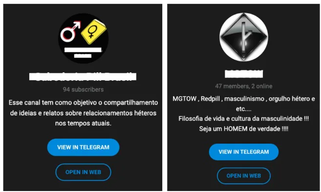 Exemplos de publica&ccedil;&otilde;es nas comunidades de identidades masculinistas