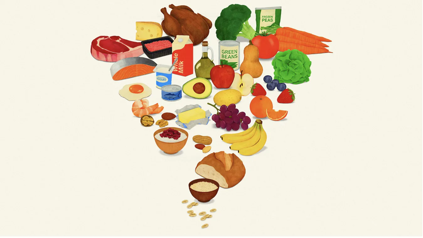 nova pirâmide alimentar dos EUA