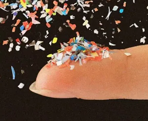 micropl&aacute;sticos e nanopl&aacute;sticos