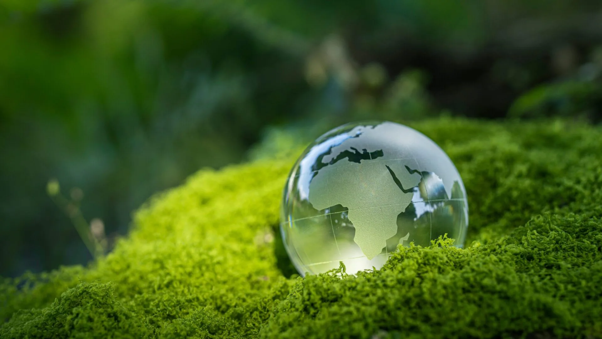 Globo da terra de vidro em uma grama
