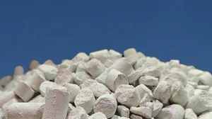 carbonato de c&aacute;lcio para captura de carbono