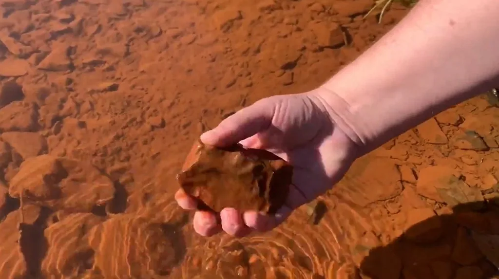 Res&iacute;duos minerais depositados em fundo de riacho