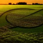 Departamento de Agricultura do governo dos EUA adota a IA Grok