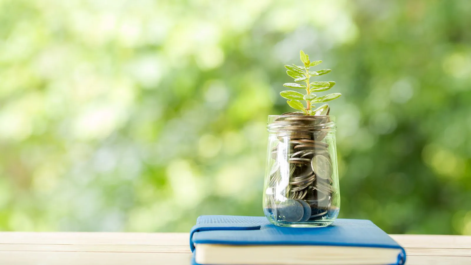 Livro com pote de moedas