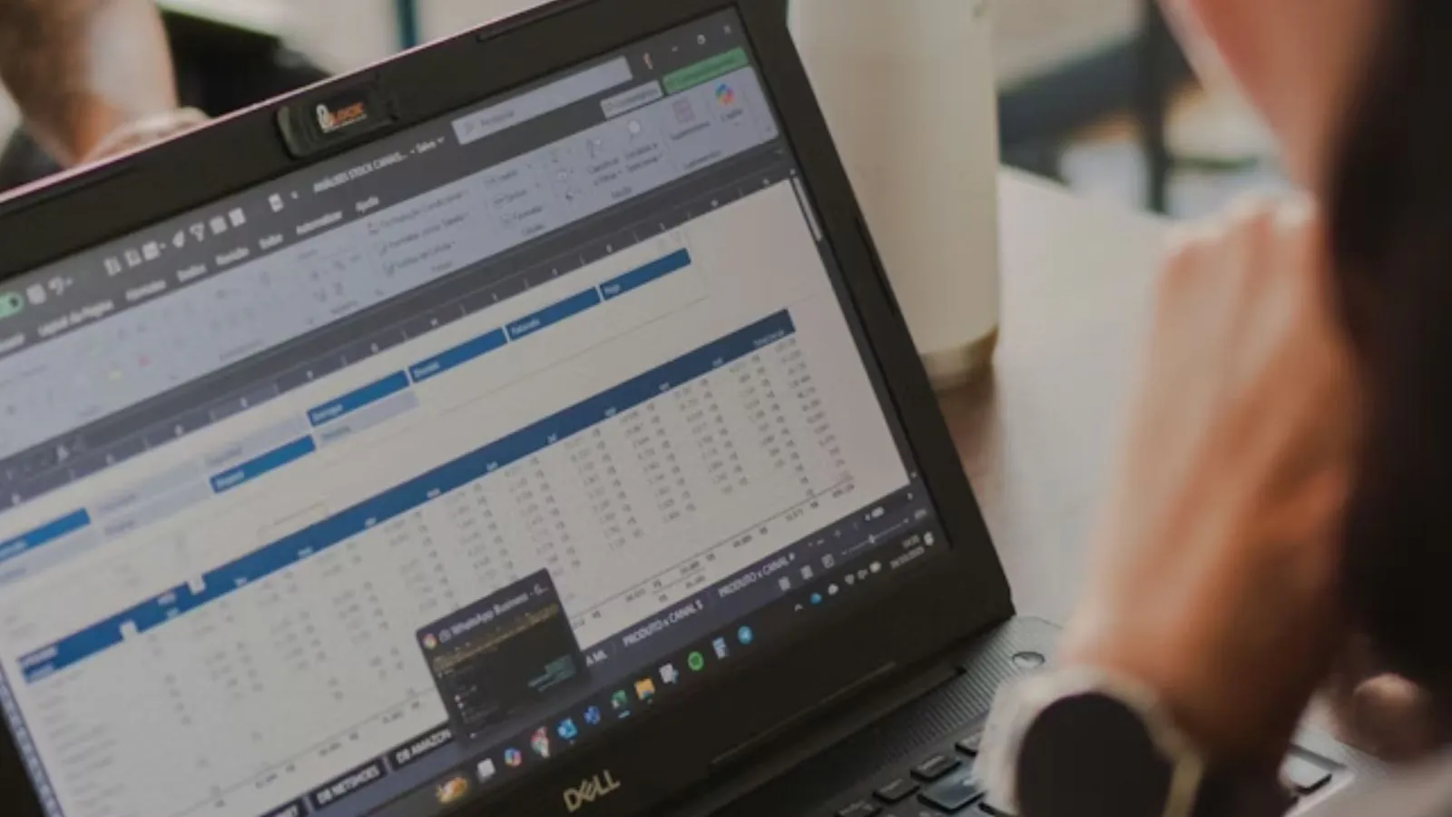 Mulher utilizando planilha do Excel