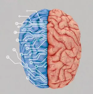 intelig&ecirc;ncia artificial deve complementar as habilidades cognitivas dos seres humanos
