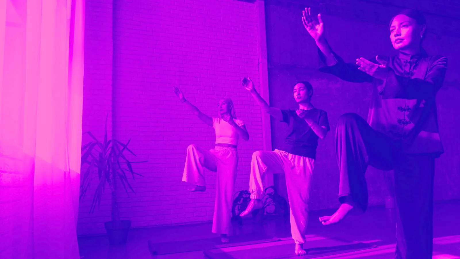 Mulheres praticando tai chi