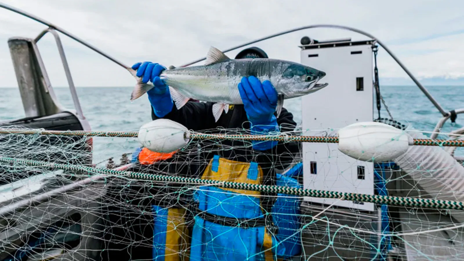 Pescador segura um salmão diante do robô PSDN-S instalado em uma embarcação no Alasca