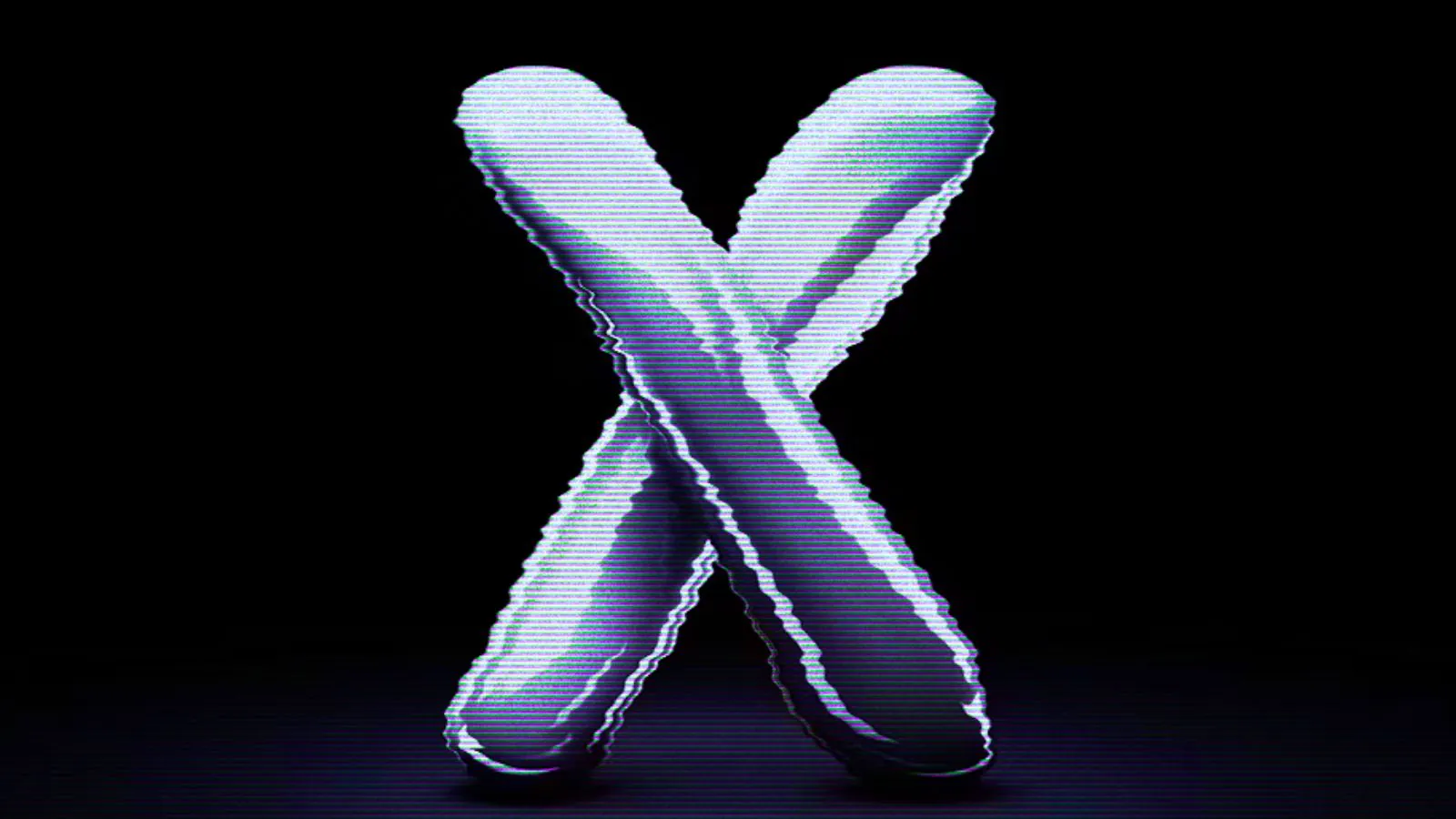 X (Twitter)